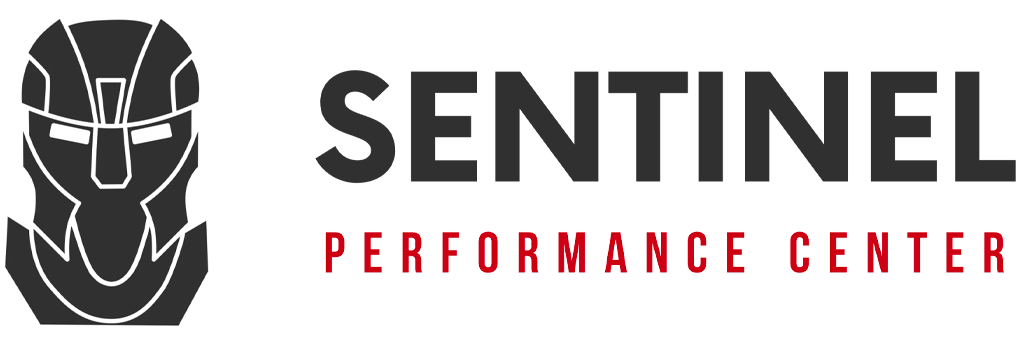 Sentinel Gym Brno